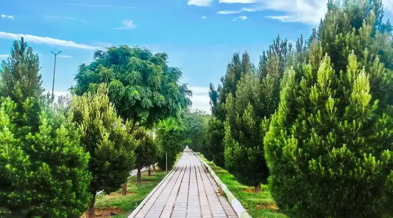 باغ گل کرمانشاه - تصویر 6