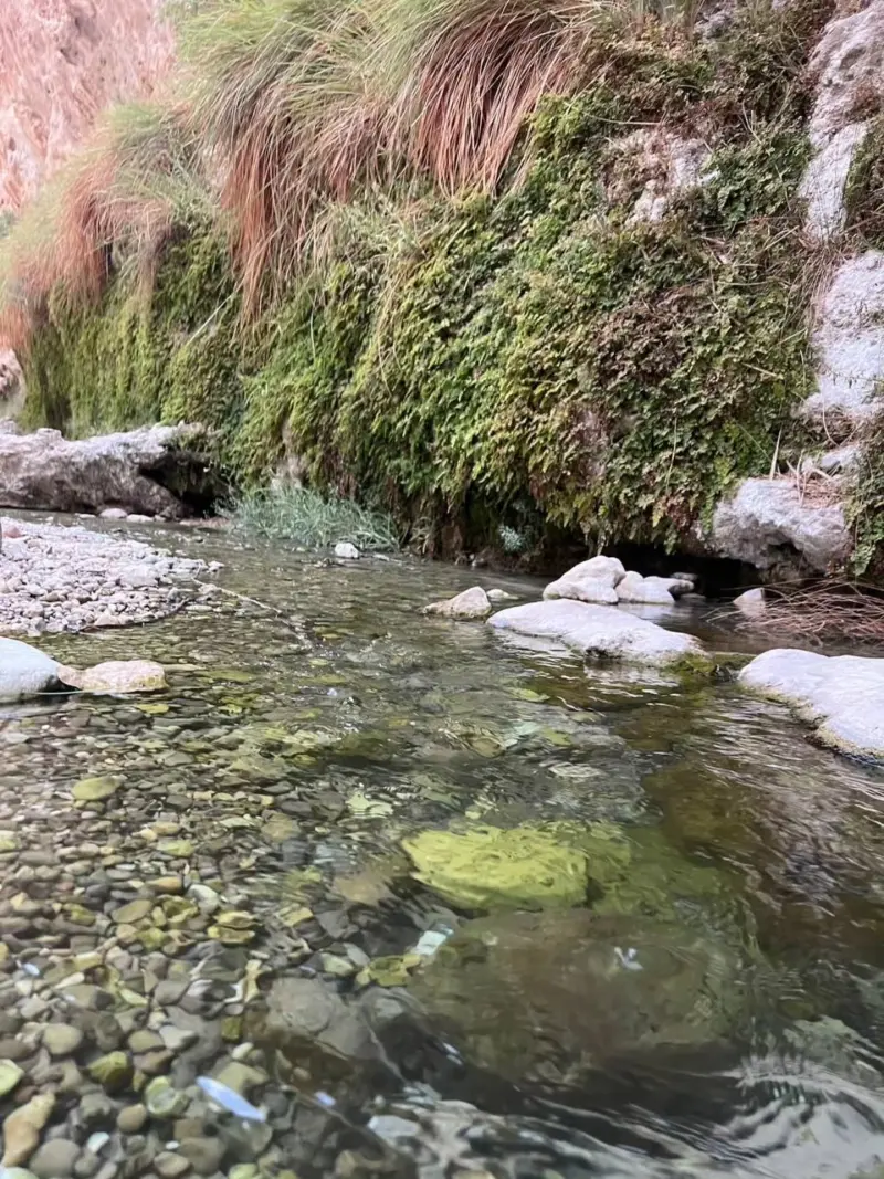 تنگه کوهچر - تصویر 2