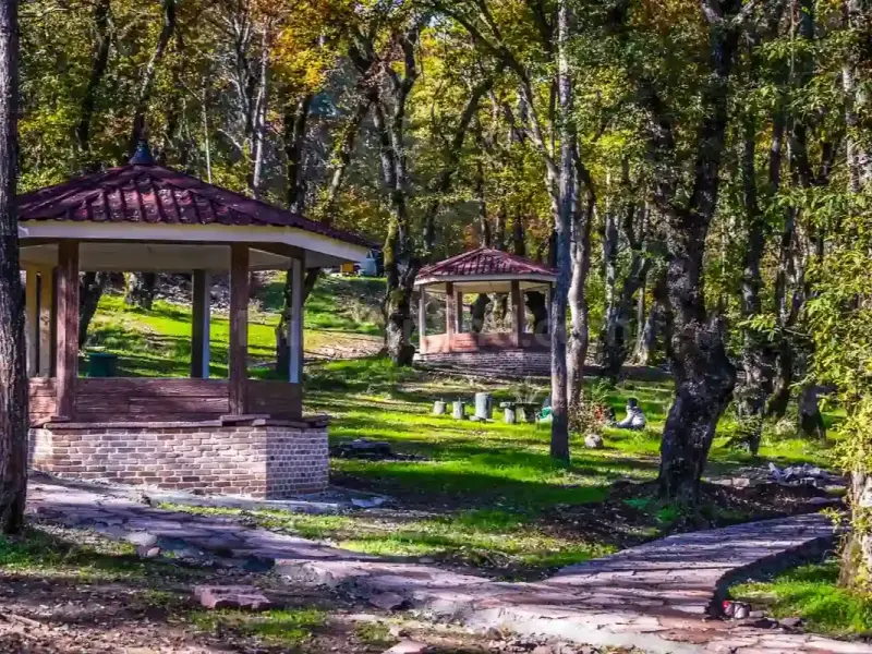 پارک جنگلی سیسنگان