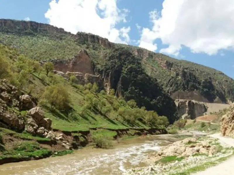 ناوتنگ منصوری - تصویر 1