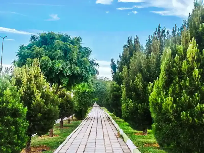 باغ گل کرمانشاه - تصویر 6
