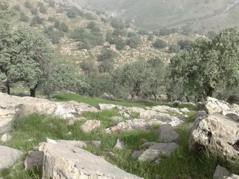 منطقه حفاظت‌شده سیوک
