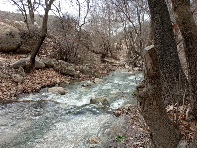 تنگ گنجه‌‌اى - تصویر 5