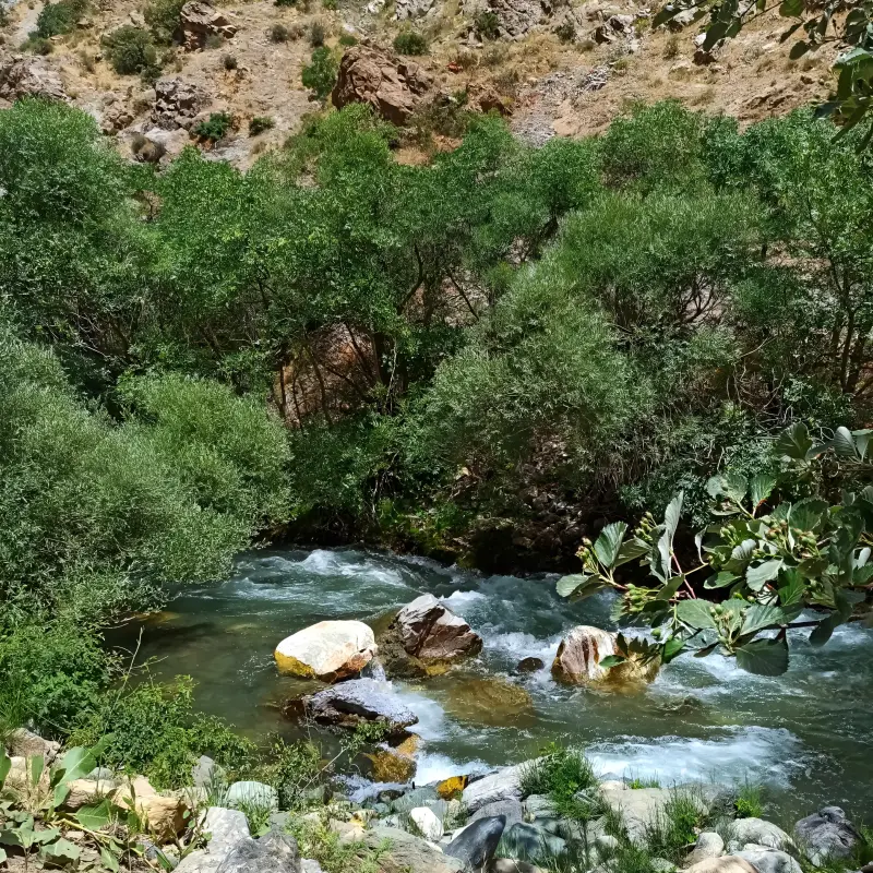 دره جرمی - تصویر 6