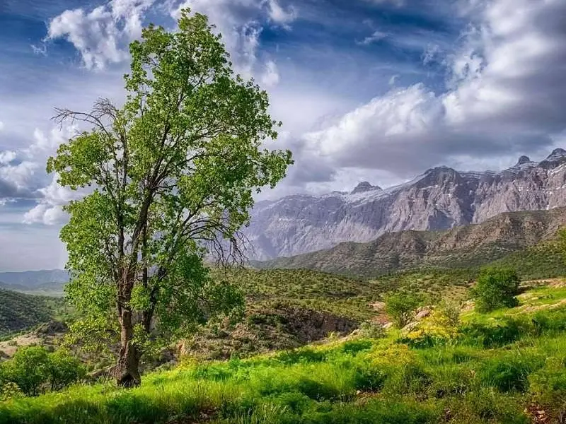 پارک ملی دنا