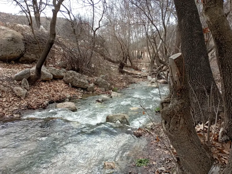 تنگ گنجه‌‌اى - تصویر 5