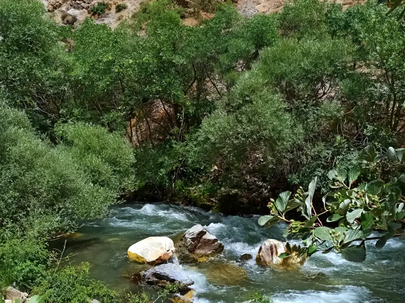 دره جرمی - تصویر 6