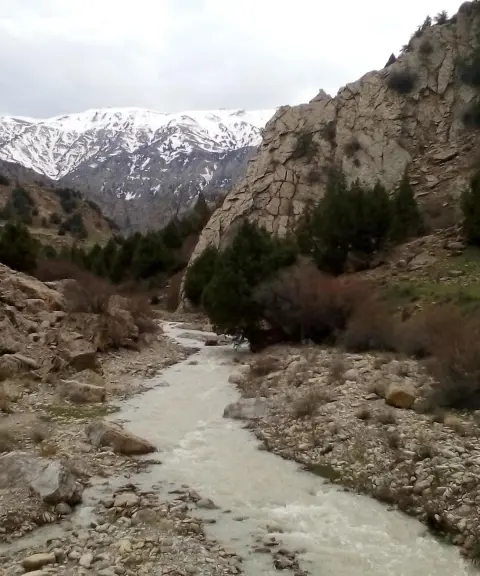 روستای ریشخوار، خراسان رضوی