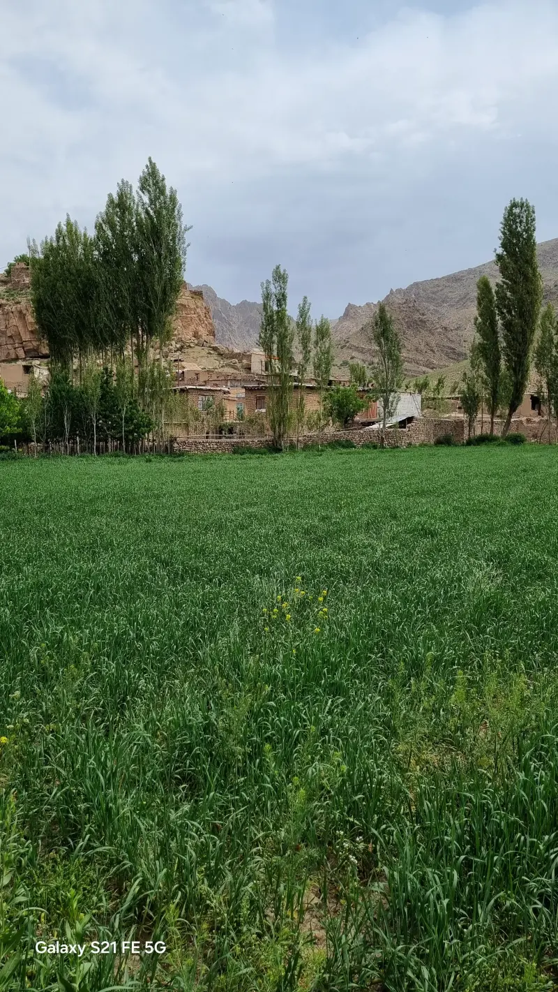 روستای خرکت - تصویر 1