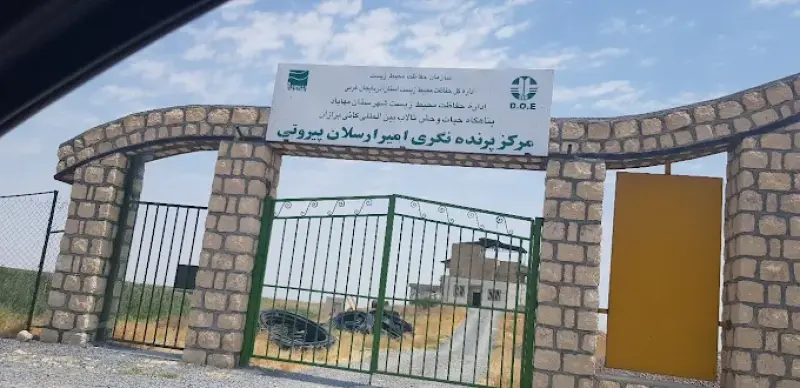 تالاب کانی برازان‎ - تصویر 2