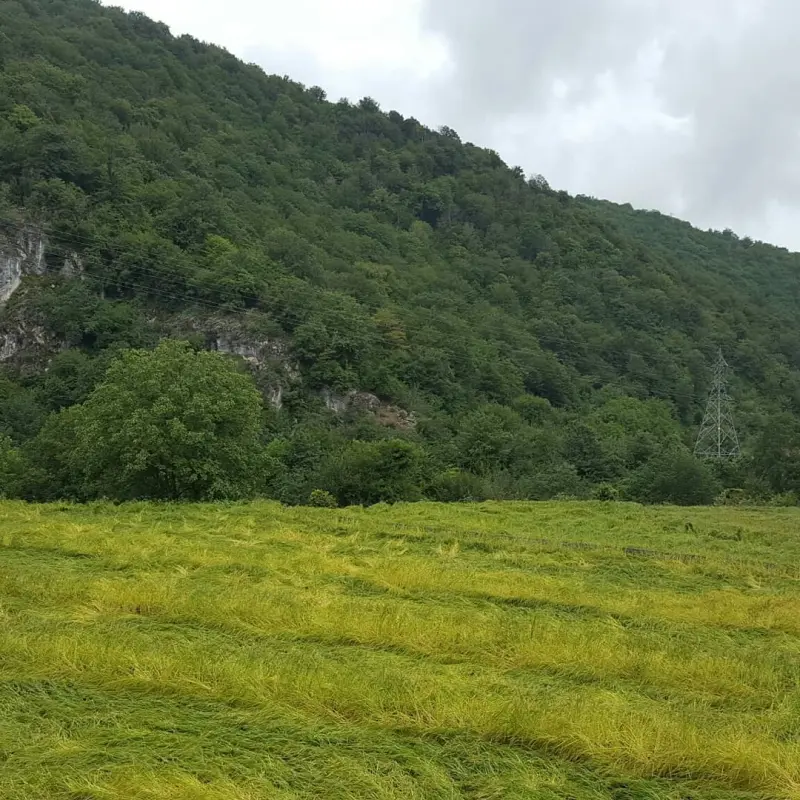 روستای الیرد - تصویر 2