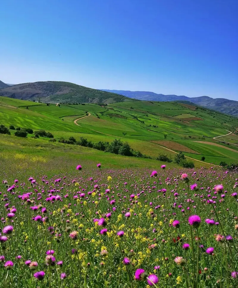 روستای استارم - تصویر 3