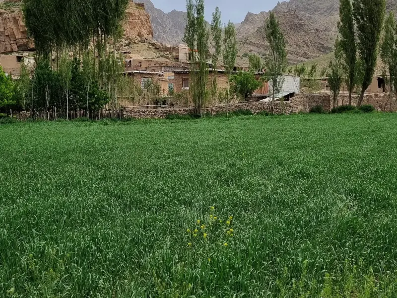 روستای خرکت - تصویر 1