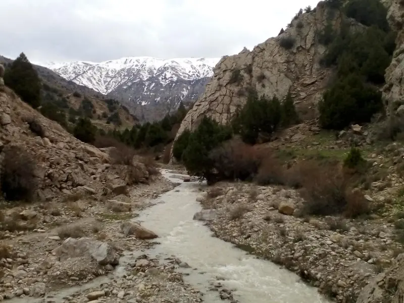 روستای ریشخوار
