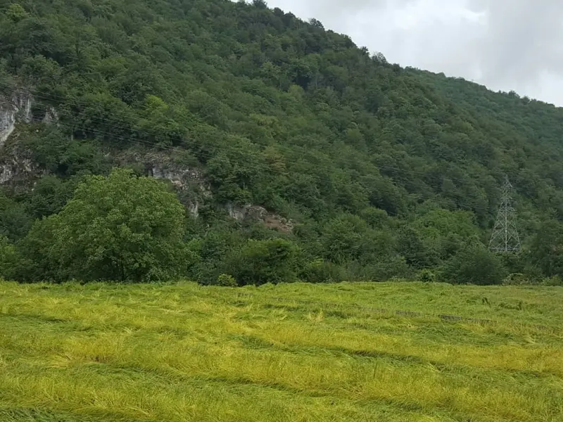 روستای الیرد - تصویر 2