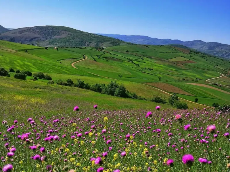 روستای استارم - تصویر 3