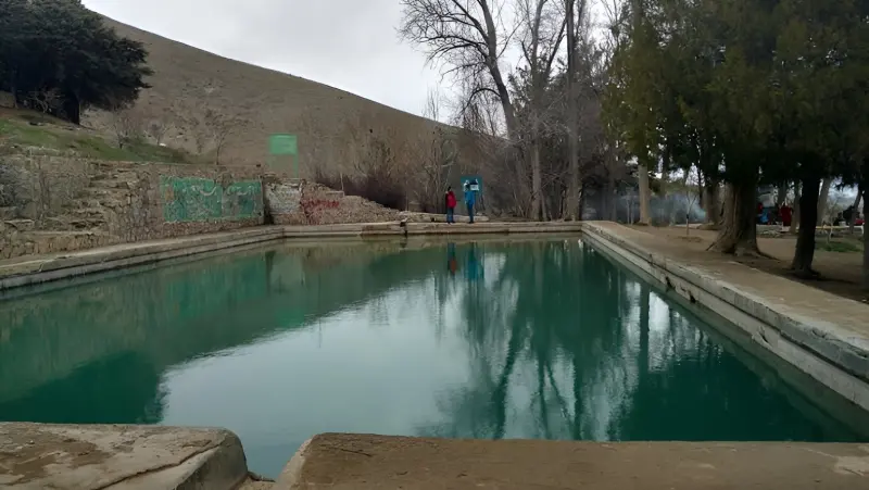 گویزه کویر - تصویر 3