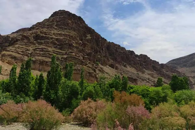 دره آل - تصویر 5