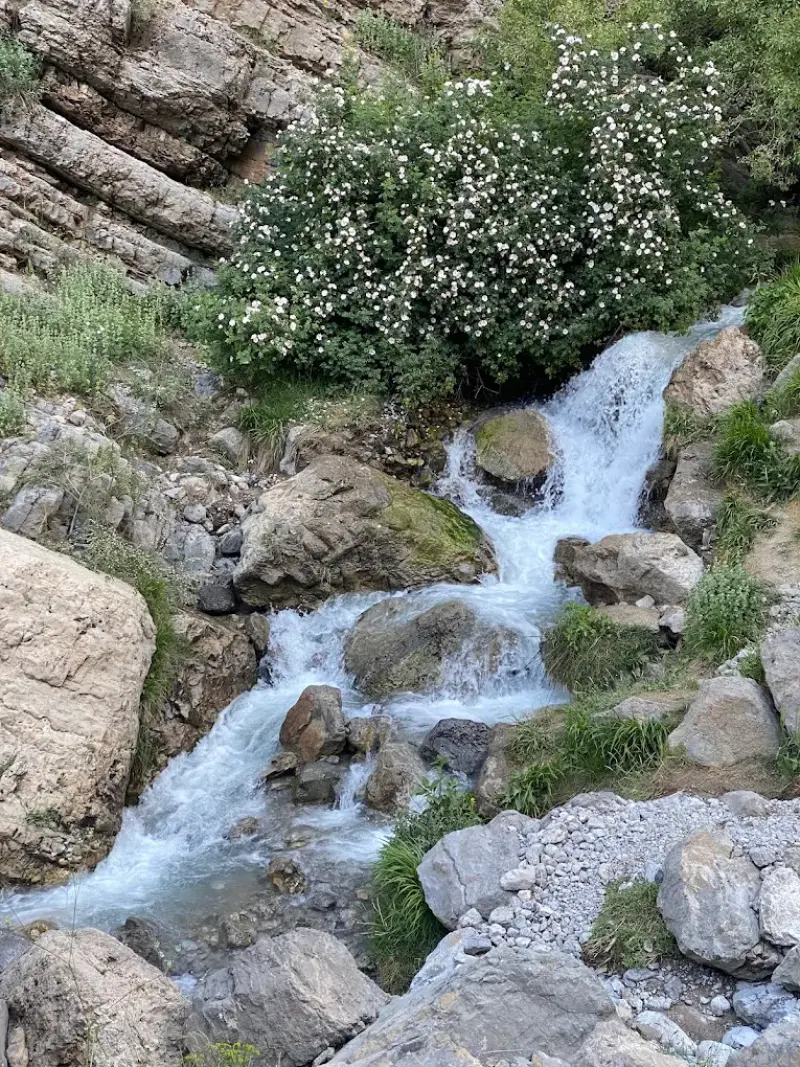آبشار کوه گل - تصویر 6
