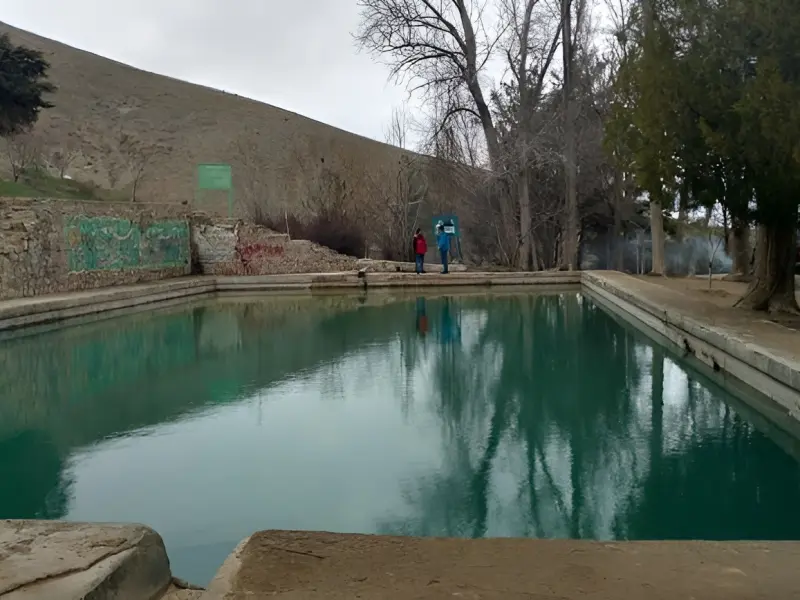 گویزه کویر - تصویر 3