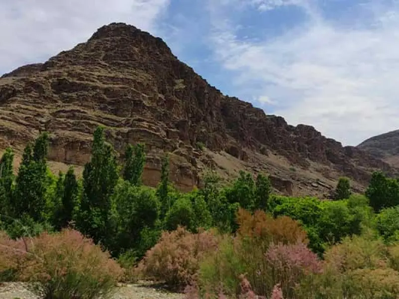 دره آل - تصویر 5