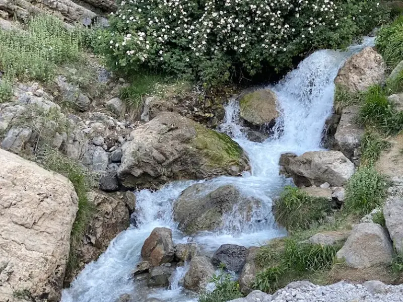 آبشار کوه گل - تصویر 6