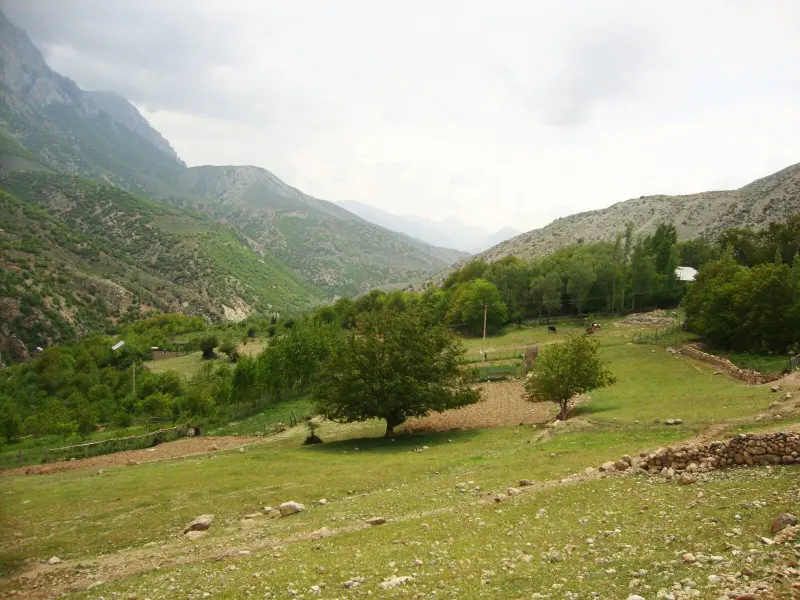 منطقه حفاظت‌شده پروند