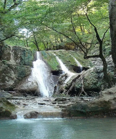 پارک جنگلی باغو، گلستان