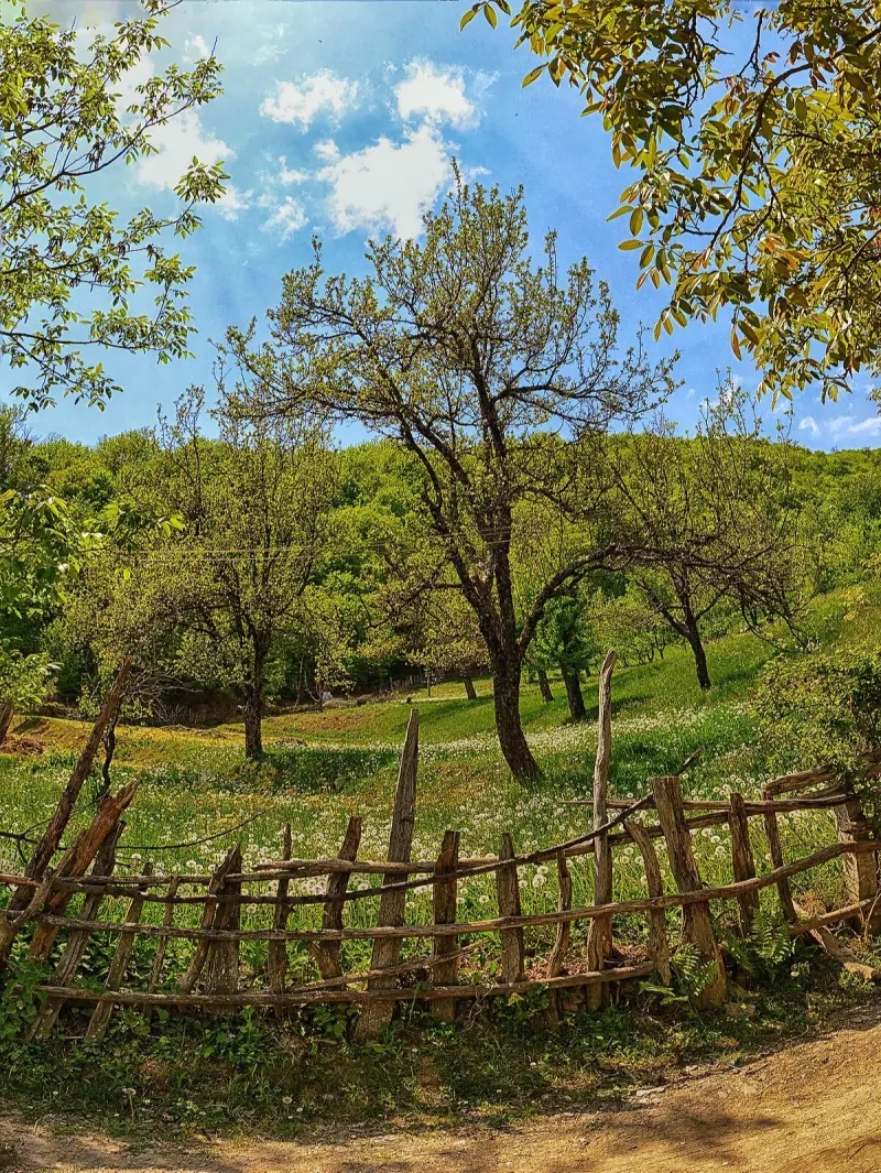 روستای راژان - تصویر 3