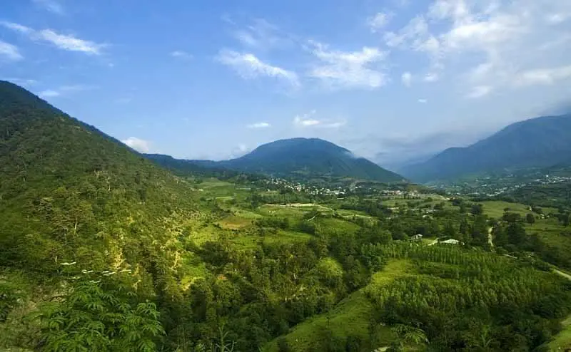 جنگل کجور - تصویر 2