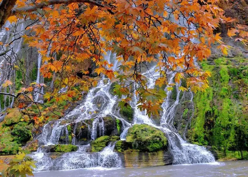 آبشار بیشه - تصویر 3