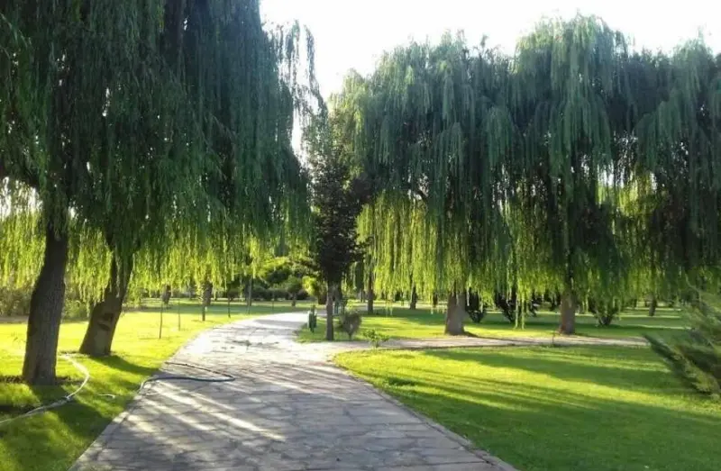 پارک جنگلی توسکا - تصویر 2