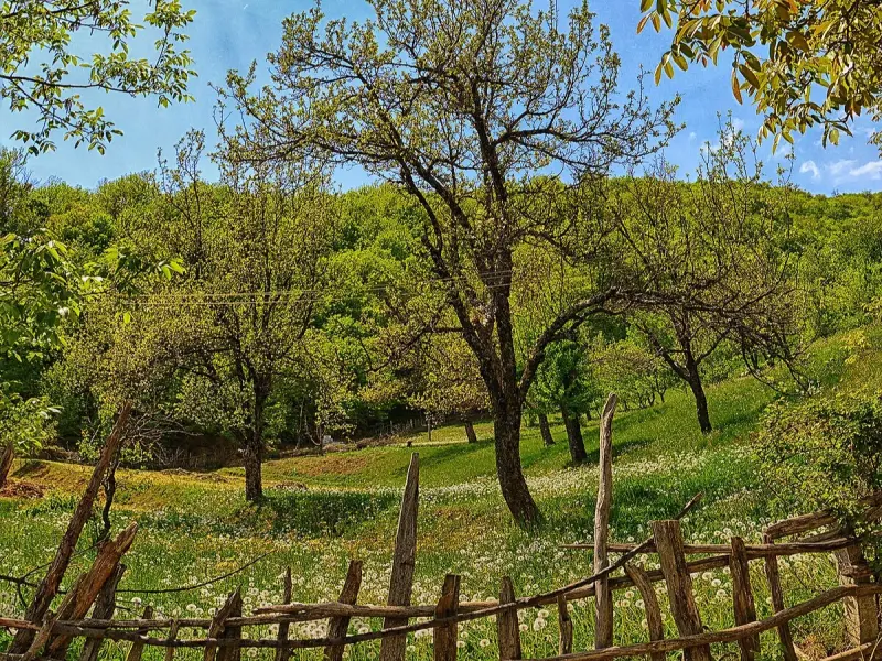 روستای راژان - تصویر 3