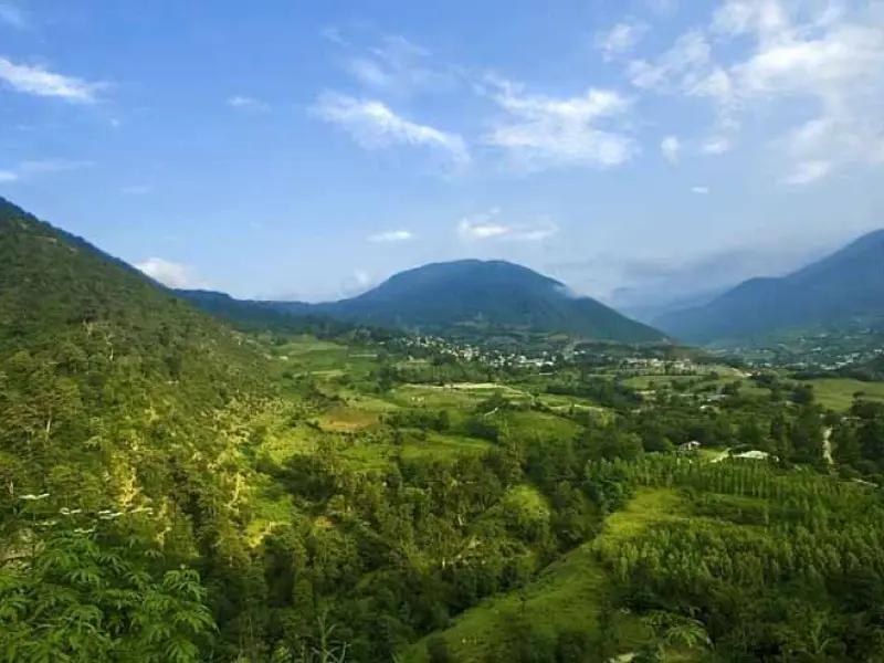 جنگل کجور - تصویر 2