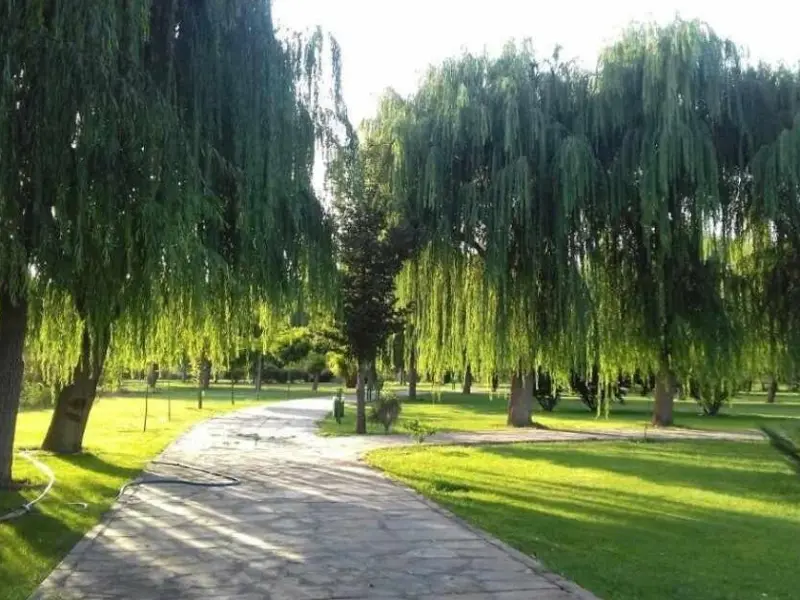 پارک جنگلی توسکا - تصویر 2