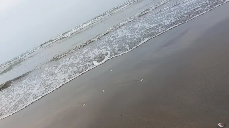 ساحل چپکرود - تصویر 1