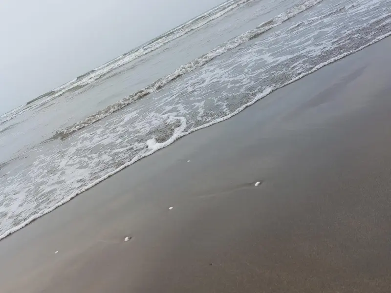 ساحل چپکرود - تصویر 1