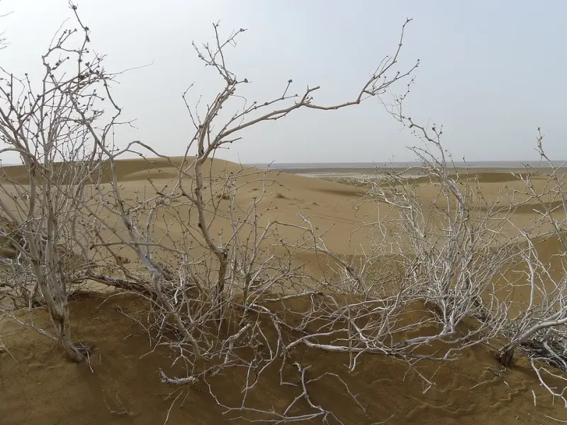 پناهگاه حیات وحش رباط‌شور