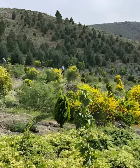 اکو پارک چهل بوستان، خراسان رضوی