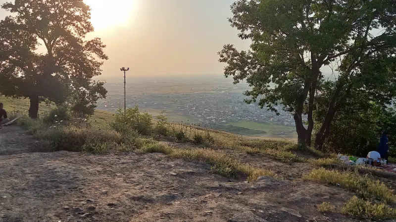 پارک زیتون تپه - تصویر 1