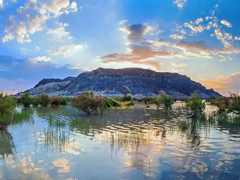 تالاب هامون