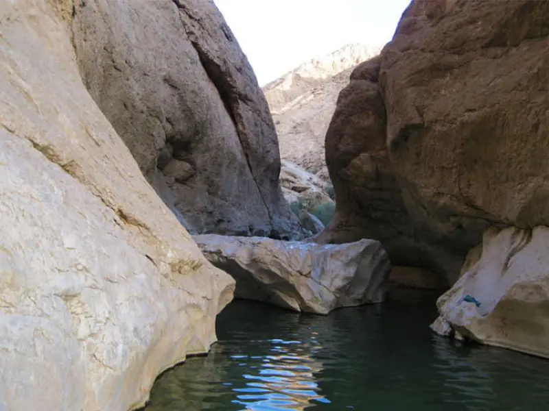تخت عروس - تصویر 1