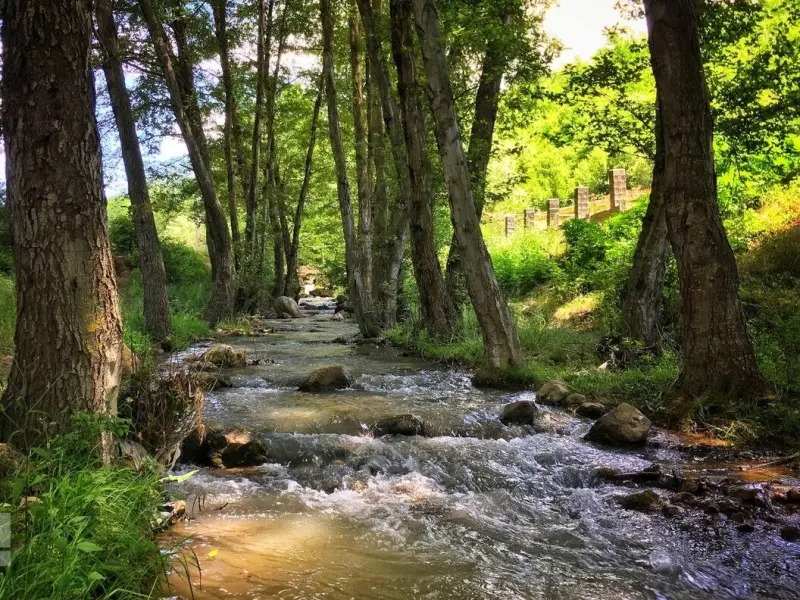 روستای جمال الدین‌کلا