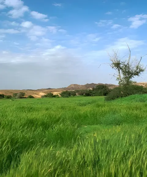 دشت بوخو، هرمزگان