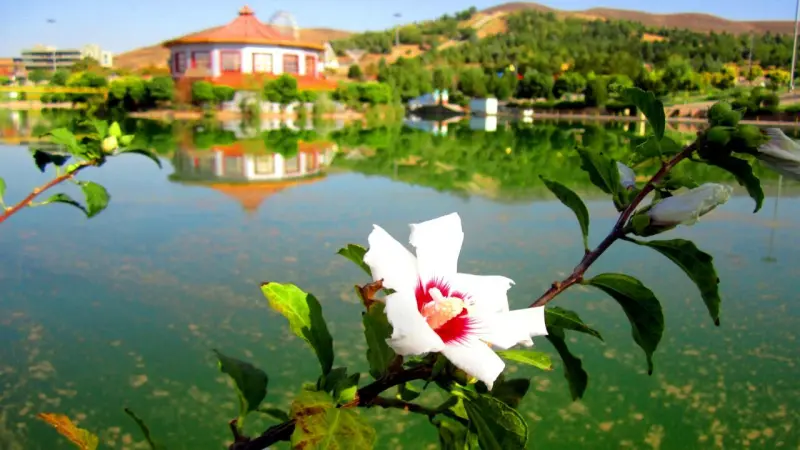 دریاچه مصنوعی کوثر - تصویر 10