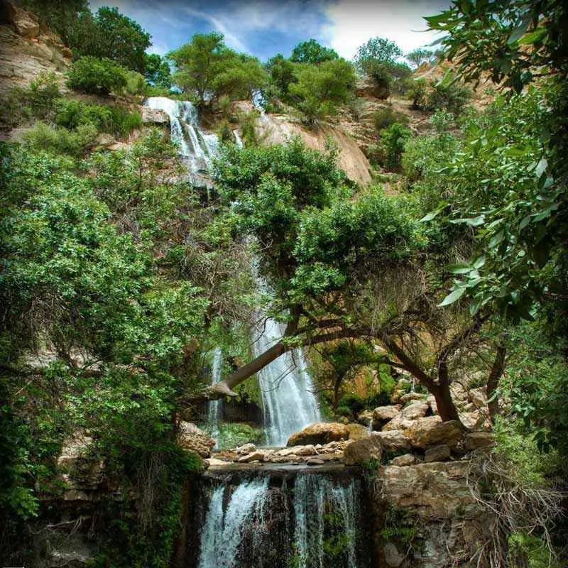 تنگ تامرادی - تصویر 5