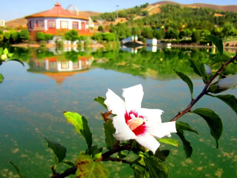 دریاچه مصنوعی کوثر - تصویر 10