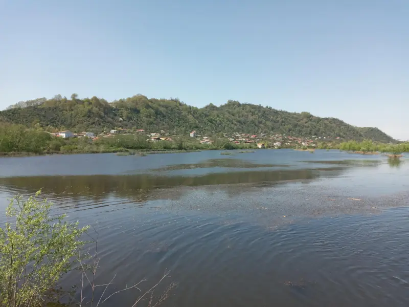 تالاب پایین زربیجار‎ - تصویر 5