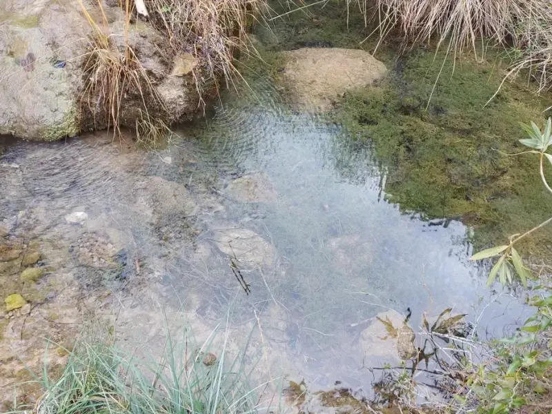 چشمه ایستی بلاغ
