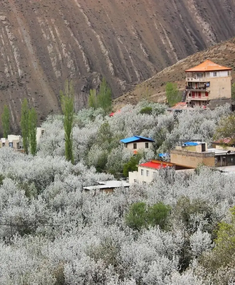روستای سنگان - تصویر 3